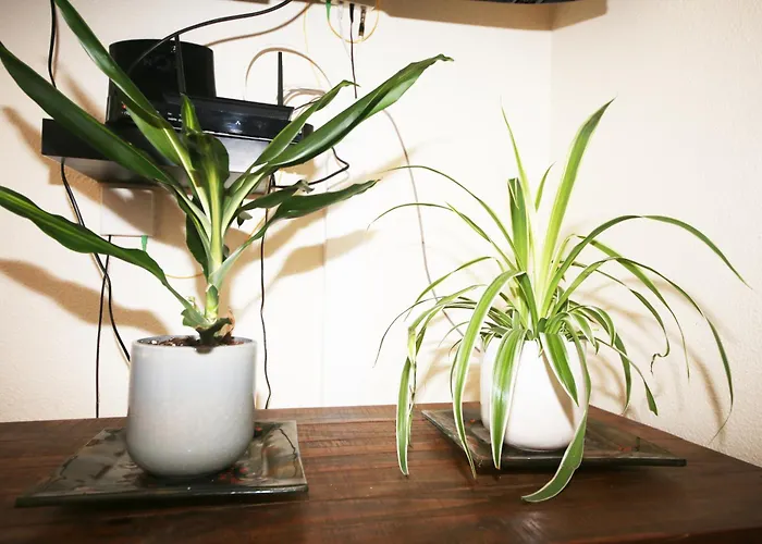 Διαμέρισμα Prime Oceanfront *