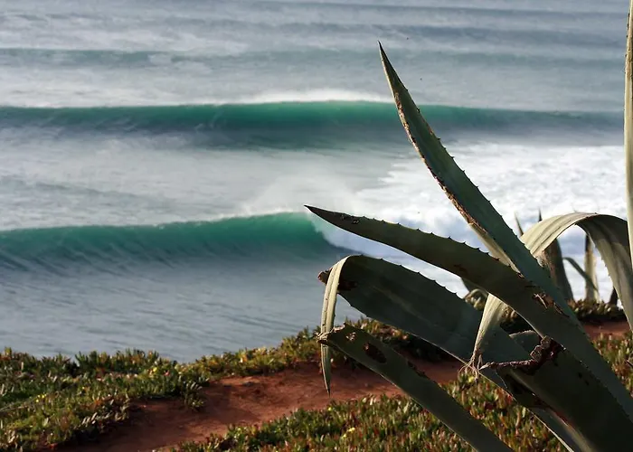 Prime Oceanfront Διαμέρισμα *